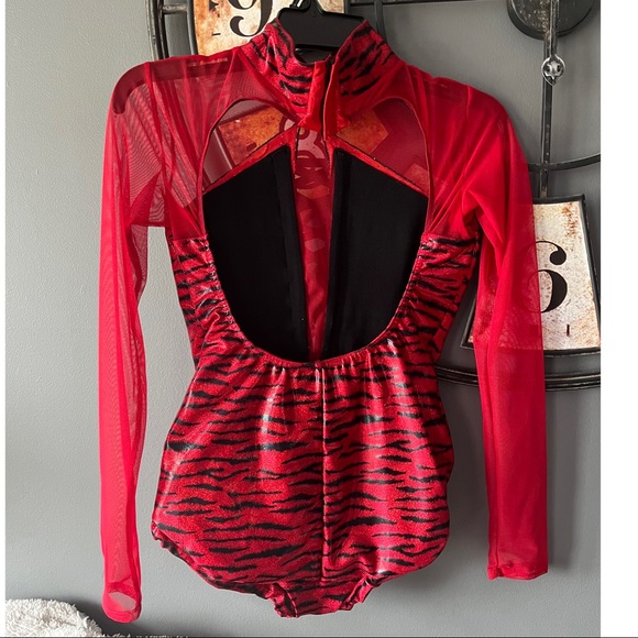 Dance Costume - Picture 3 of 3